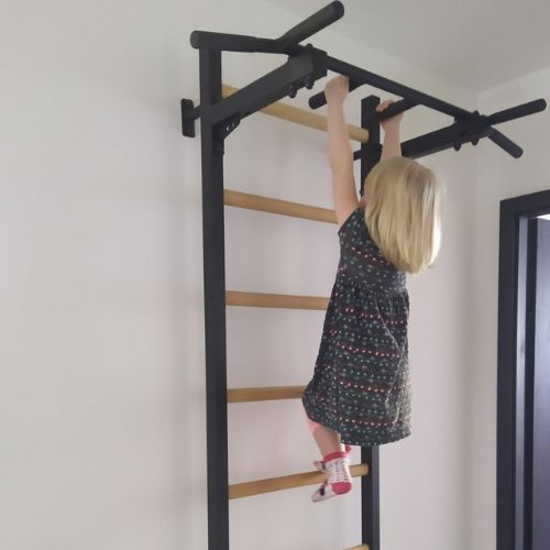 BenchK gymnastický žebřík černý BK-221B