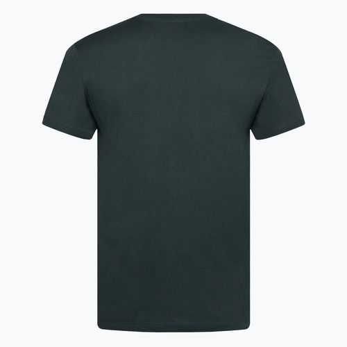 Pánské tričko  Nike Fitness vintage green