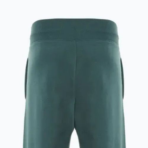 Dámské kalhoty Nike Sportswear Phoenix Fleece vintage green / sail