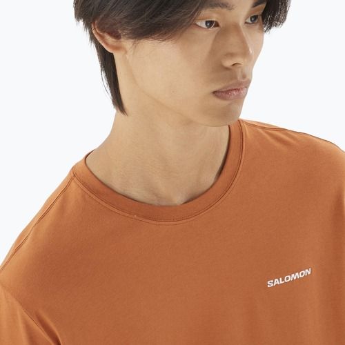 Pánské tričko Salomon Logo Tee sierra