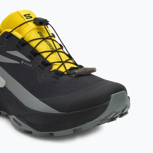 Pánské běžecké boty Salomon Genesis GTX black/sedona sage/incaberry