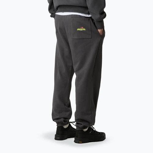 Pánské kalhoty The North Face Expedition Celebration Relaxed Jogger Reg antracithe grey