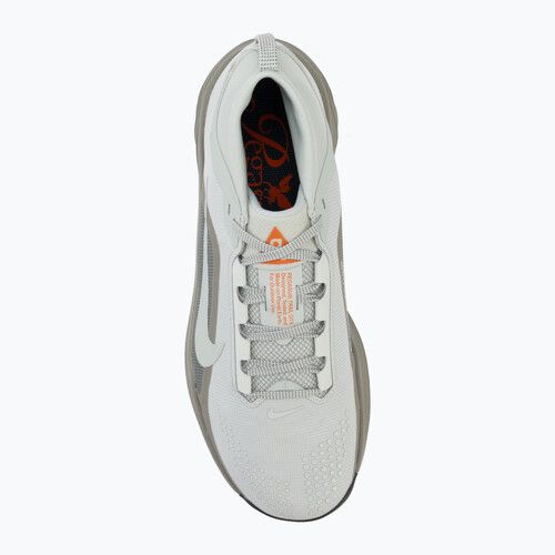 Pánské běžecké boty Nike ACG Pegasus Trail GORE-TEX Light Silver/Light Army/Light Silver
