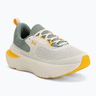 Pánské běžecké boty Under Armour Infinite Elite 2 stone/silica green/campus gold