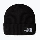 Dětská zimní čepice The North Face Salty Lined