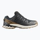 Pánské běžecké boty Salomon XA PRO 3D V9 GTX Lifelong black/coyote brown/vanilla ice