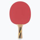 Pálka na stolní tenis DONIC Legends 300 FSC 705234