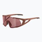 Sluneční brýle Alpina Hawkeye Q-Lite brick matt/black red mirror