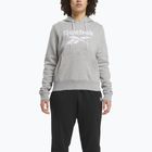 Dámská mikina Reebok Identity Big Logo Fleece medium grey heather