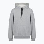 Pánská mikina Mizuno Takeshi Hoodie šedá
