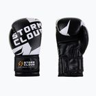 Boxerské rukavice StormCloud Bolt 3.0 black/white