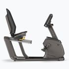 Rotoped Matrix Fitness Recumbent Bike R50XR-02 graphite grey