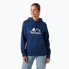 Dámská mikina Helly Hansen Nord Graphic Hooder Hoodie ocean