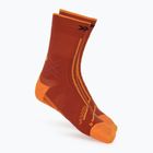 Ponožky X-Socks Trailrun Terraskin Expert Crew burnt red/orange