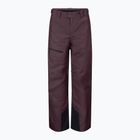 Pánské lyžařské kalhoty SCOTT Ultimate Dryo 10 cocoa red