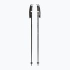Lyžařské hole Fizan Action Pro black