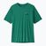 Pánské tričko Patagonia Capilene Cool Daily - '73 Skyline gem green/light gem green x-dye