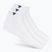 Ponožky Tecnifibre Low-Cut 3 pairs white/marine