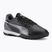 Kopačky PUMA King Match TT puma black/puma white/cool dark gray