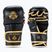 Grapplingové rukavice DBX BUSHIDO Master MMA black/gold