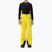 Dětské lyžařské kalhoty 4F Fnk M0953 yellow