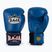 Boxerské rukavice RAJA BOXING Single Standard Genuine Leather blue