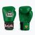 Boxerské rukavice RAJA BOXING Single Standard Genuine Leather green