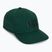 Kšiltovka Helly Hansen Brand opal green