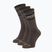Ponožky SCOTT Retro Casual Crew 3 pairs wood grey