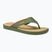 Pánské žabky Ipanema Vintage green / green / beige