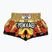 Pánské tréninkové šortky YOKKAO Tiger Family Muay Thai gold