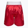 Pánské tréninkové šortky Everlast Trunks Pro red/white 2