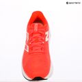 Dámské běžecké boty New Balance FuelCell Propel v5 rain cloud 9