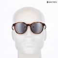 Sluneční brýle UVEX LGL 54 havanna matt/litemirror silver 6