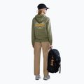 Dámská mikina  Napapijri B-Faber green lichen 4