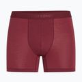 Pánské termo boxerky icebreaker Anatomica Boxers port