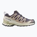 Dámské běžecké boty Salomon XA Pro 3D V9 GTX nine iron/oxford tan 8