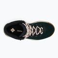 Dámské trekové boty  Columbia Newton Ridge Plus WP Amped black/ blush rose 13