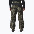 Pánské snowboardové kalhoty Columbia Coreshot Printed greenscape treebark print/black 3