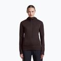 Dámská mikina Icebreaker Merino 260 Quantum IV LS Zip Hoodie bittersweet