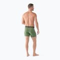 Pánské termo boxerky Smartwool Merino Boxer Boxed fern green 3