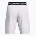 Pánské tréninkové šortky Under Armour Ua Vanish Woven 8in halo gray/black 6