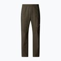 Pánské kalhoty The North Face Limestone new taupe green