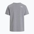 Pánské tričko na lezení The North Face Evolution Half Dome tnf pale grey heather 5