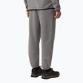 Pánské kalhoty The North Face Glacier Fleece mid graather heather 3