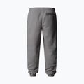 Pánské kalhoty The North Face Glacier Fleece mid graather heather 6