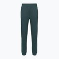 Dámské kalhoty The North Face Mountain Athletics Fleece deep cypress/space
