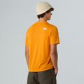 Pánské tričko The North Face Multiple Placement mushroom ember 3