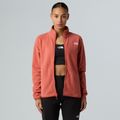 Dámská fleecová mikina The North Face Glacier Fleece mars dust 4