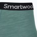Pánské termo boxerky Smartwool Everyday Merino Boxer Brief Boxed black dusty teal 4